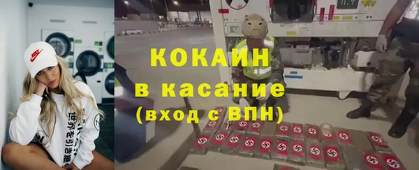 индика Алзамай
