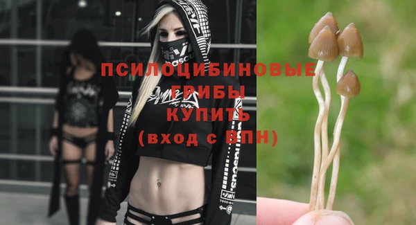 индика Алзамай