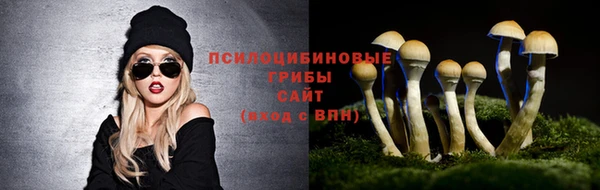 кокаин колумбия Алексин