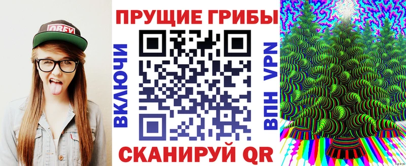 mega ССЫЛКА  Среднеколымск  Псилоцибиновые грибы мицелий 